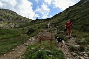 92 Sul sent. 215 saliamo al Passo di Mezzeno